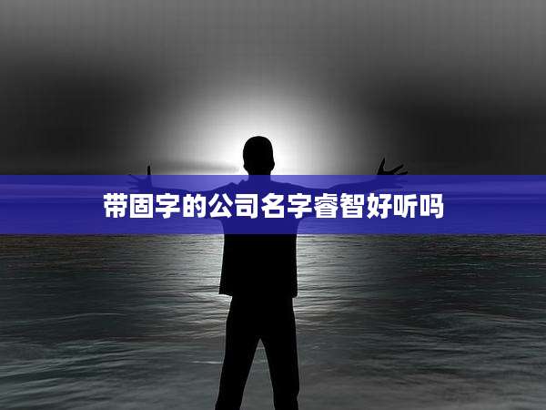 带固字的公司名字睿智好听吗