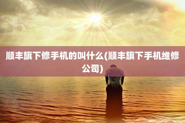 顺丰旗下修手机的叫什么(顺丰旗下手机维修公司)