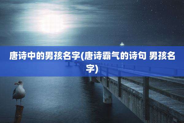 唐诗中的男孩名字(唐诗霸气的诗句 男孩名字)
