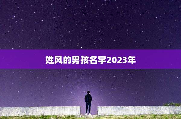 姓风的男孩名字2023年