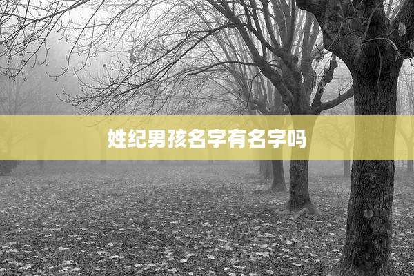 姓纪男孩名字有名字吗