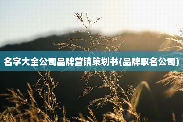 名字大全公司品牌营销策划书(品牌取名公司)