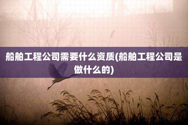 船舶工程公司需要什么资质(船舶工程公司是做什么的)