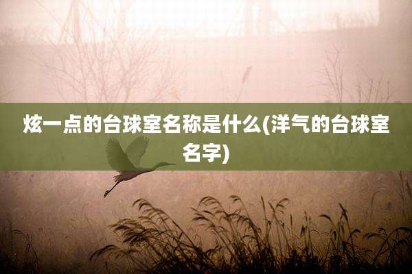 炫一点的台球室名称是什么(洋气的台球室名字)