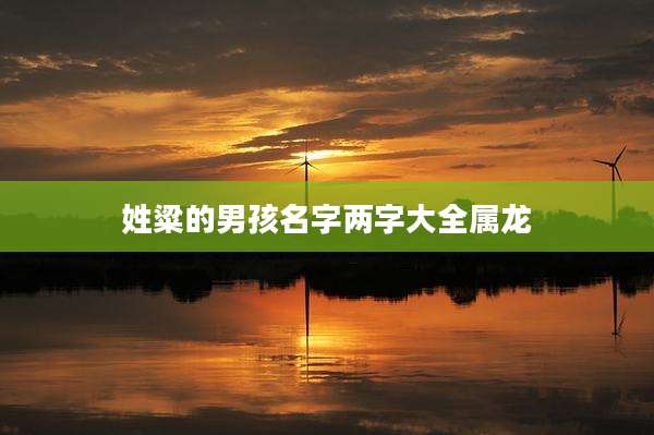 姓粱的男孩名字两字大全属龙