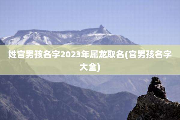 姓宫男孩名字2023年属龙取名(宫男孩名字大全)