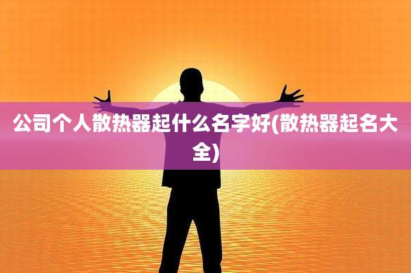 公司个人散热器起什么名字好(散热器起名大全)
