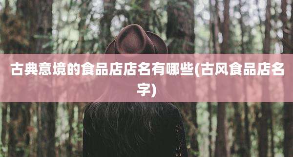 古典意境的食品店店名有哪些(古风食品店名字)