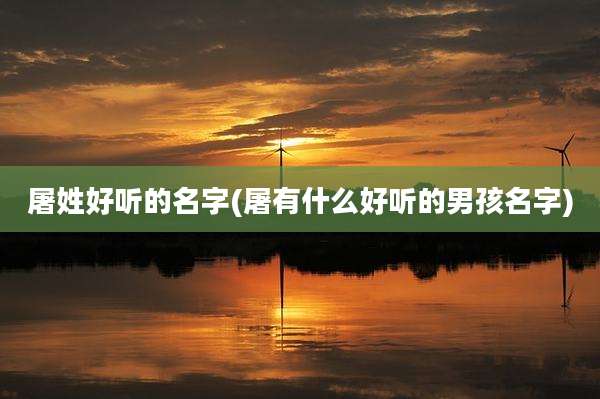 屠姓好听的名字(屠有什么好听的男孩名字)