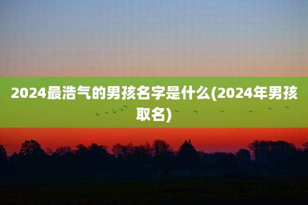 2024最浩气的男孩名字是什么(2024年男孩取名)