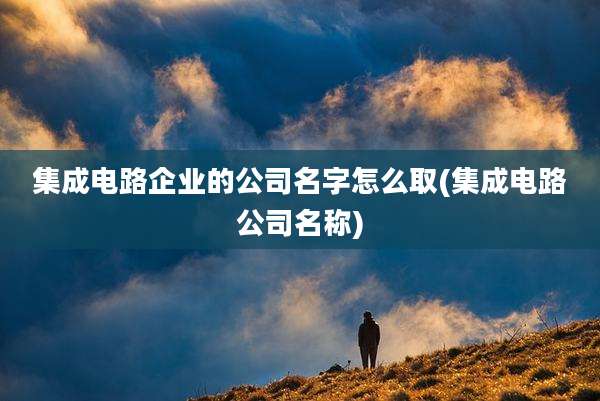 集成电路企业的公司名字怎么取(集成电路公司名称)