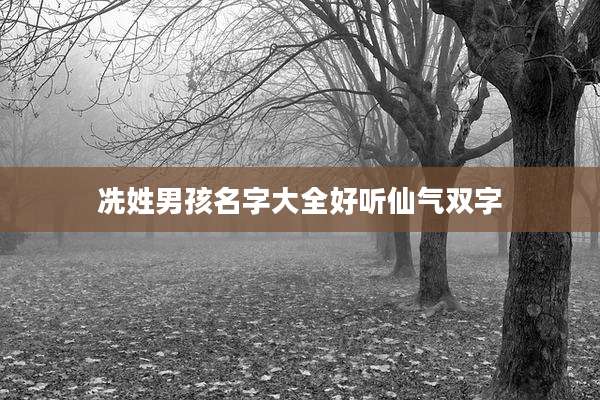 冼姓男孩名字大全好听仙气双字
