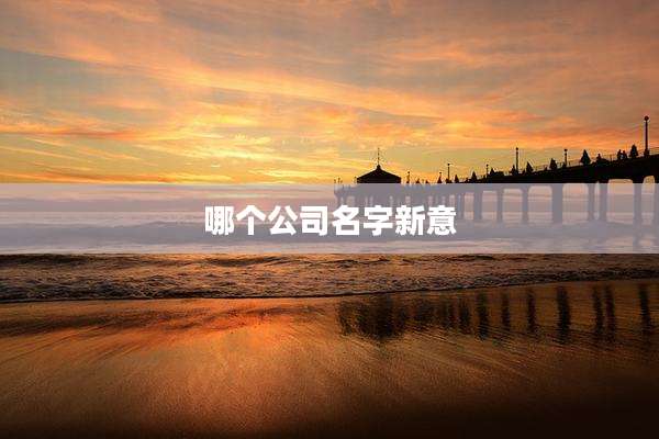 哪个公司名字新意
