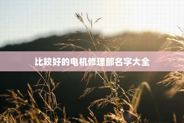 比较好的电机修理部名字大全