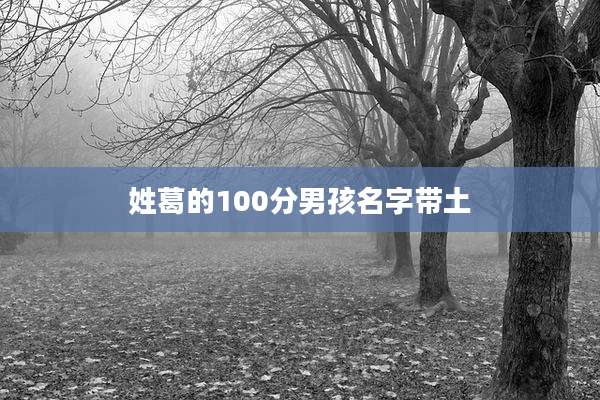 姓葛的100分男孩名字带土