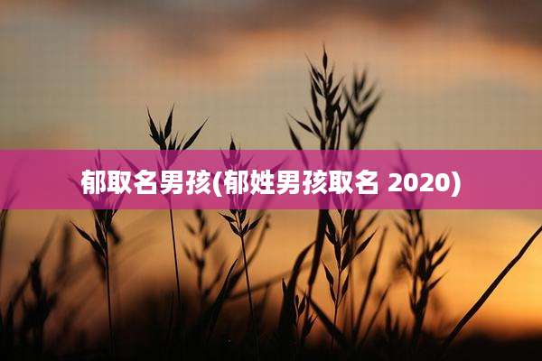 郁取名男孩(郁姓男孩取名 2020)