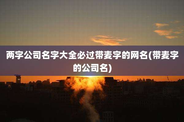 两字公司名字大全必过带麦字的网名(带麦字的公司名)