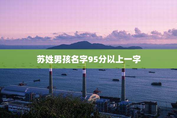 苏姓男孩名字95分以上一字