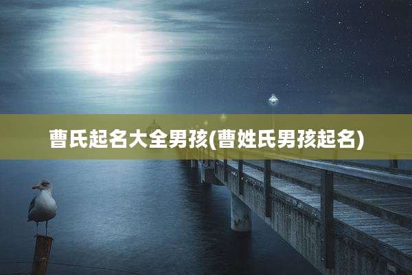 曹氏起名大全男孩(曹姓氏男孩起名)