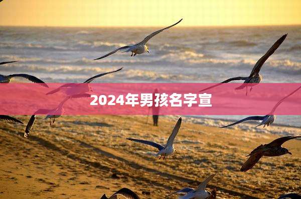 2024年男孩名字宣