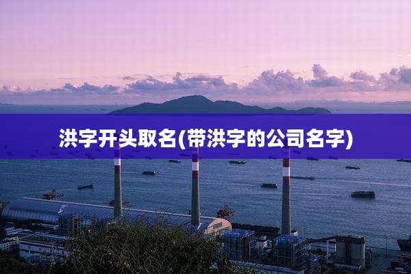 洪字开头取名(带洪字的公司名字)