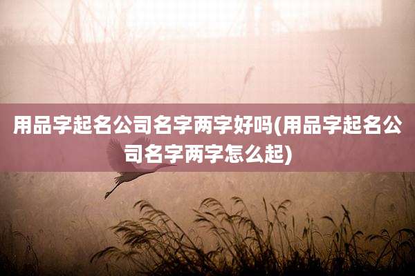 用品字起名公司名字两字好吗(用品字起名公司名字两字怎么起)