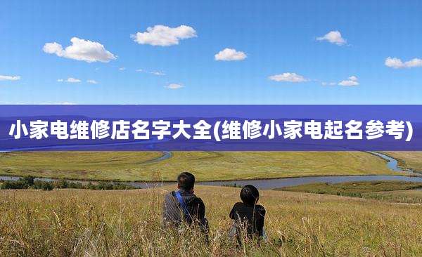 小家电维修店名字大全(维修小家电起名参考)