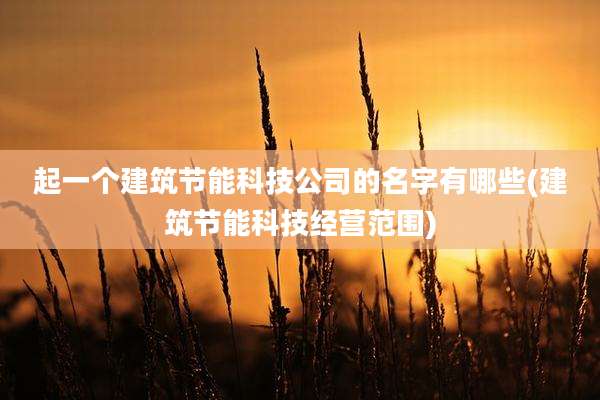 起一个建筑节能科技公司的名字有哪些(建筑节能科技经营范围)