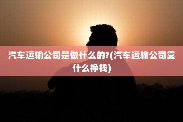 汽车运输公司是做什么的?(汽车运输公司靠什么挣钱)
