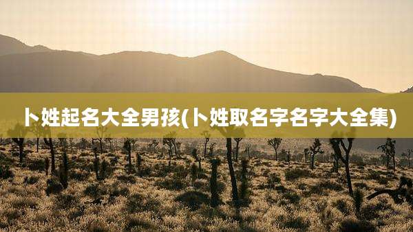 卜姓起名大全男孩(卜姓取名字名字大全集)