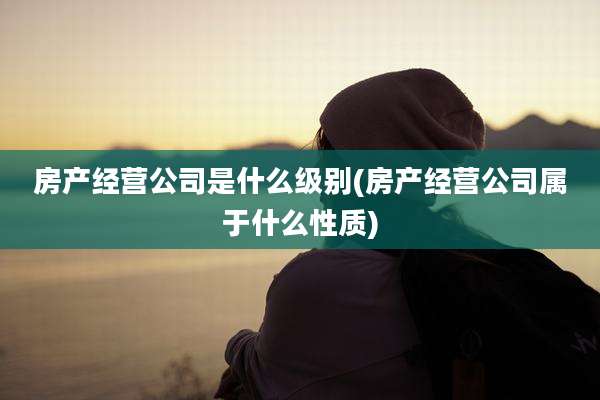 房产经营公司是什么级别(房产经营公司属于什么性质)