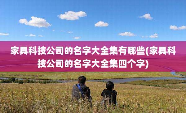 家具科技公司的名字大全集有哪些(家具科技公司的名字大全集四个字)