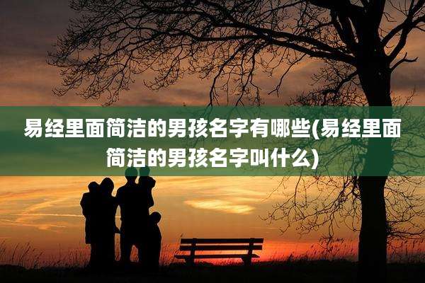 易经里面简洁的男孩名字有哪些(易经里面简洁的男孩名字叫什么)