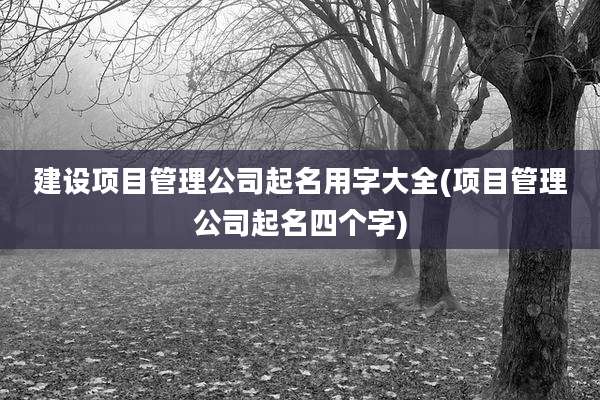 建设项目管理公司起名用字大全(项目管理公司起名四个字)