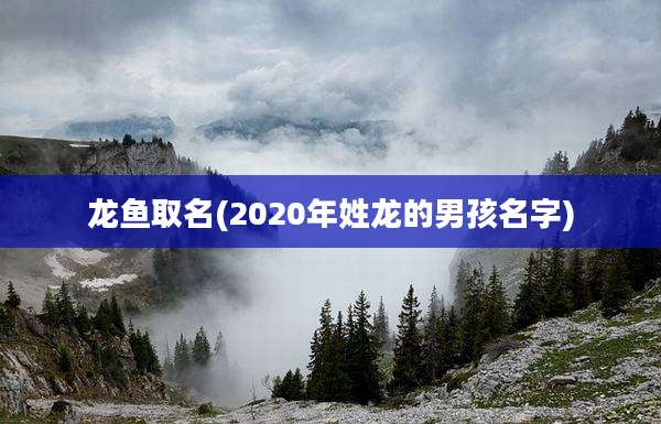 龙鱼取名(2020年姓龙的男孩名字)