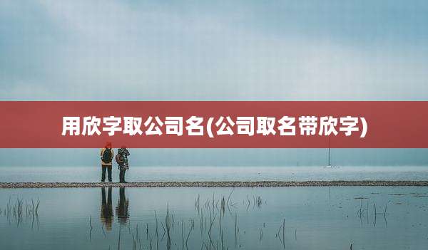 用欣字取公司名(公司取名带欣字)