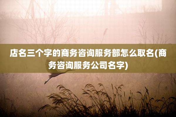 店名三个字的商务咨询服务部怎么取名(商务咨询服务公司名字)