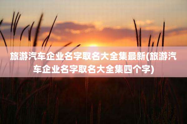 旅游汽车企业名字取名大全集最新(旅游汽车企业名字取名大全集四个字)