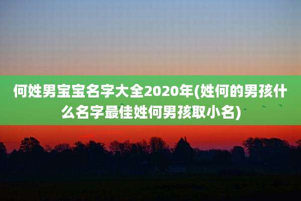 何姓男宝宝名字大全2020年(姓何的男孩什么名字最佳姓何男孩取小名)