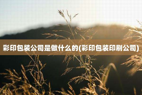 彩印包装公司是做什么的(彩印包装印刷公司)