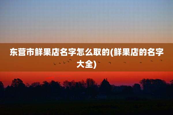 东营市鲜果店名字怎么取的(鲜果店的名字大全)