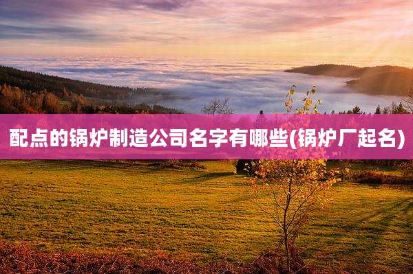 配点的锅炉制造公司名字有哪些(锅炉厂起名)