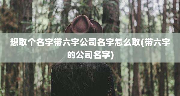 想取个名字带六字公司名字怎么取(带六字的公司名字)