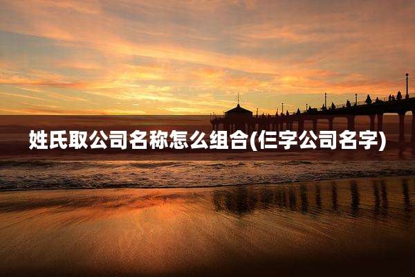 姓氏取公司名称怎么组合(仨字公司名字)