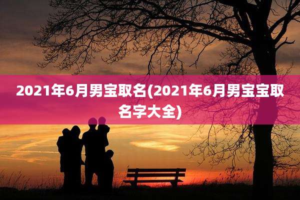 2021年6月男宝取名(2021年6月男宝宝取名字大全)