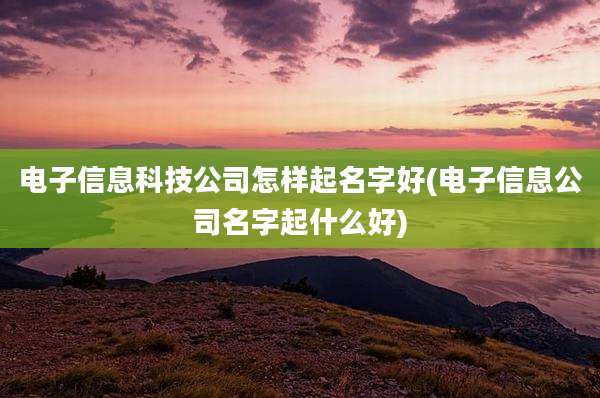电子信息科技公司怎样起名字好(电子信息公司名字起什么好)