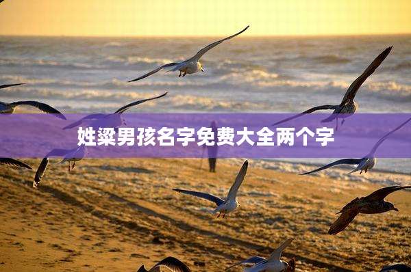 姓粱男孩名字免费大全两个字