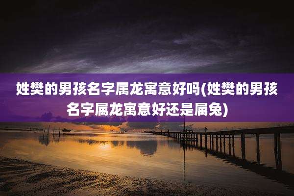 姓樊的男孩名字属龙寓意好吗(姓樊的男孩名字属龙寓意好还是属兔)