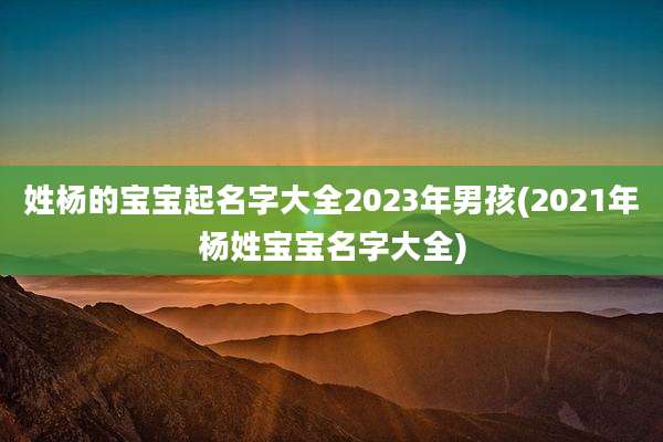 姓杨的宝宝起名字大全2023年男孩(2021年杨姓宝宝名字大全)