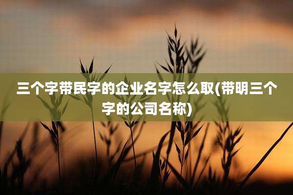 三个字带民字的企业名字怎么取(带明三个字的公司名称)